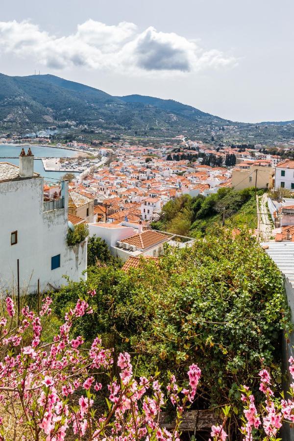 Vasia House Bandar Skopelos Luaran gambar